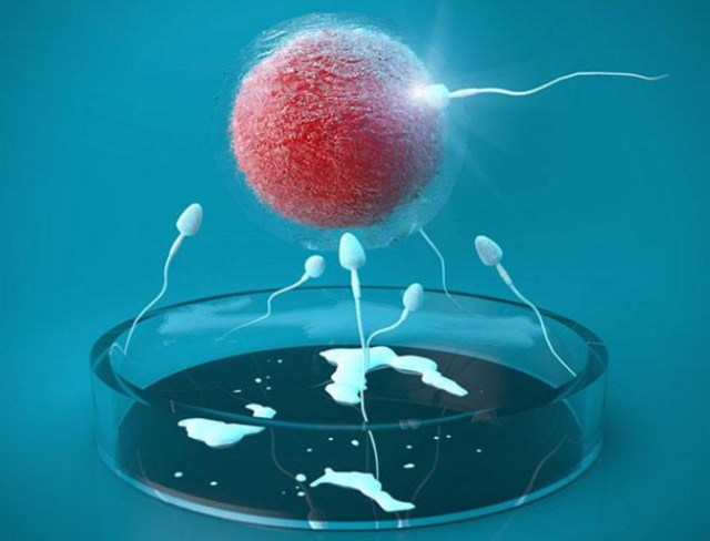 广州在助孕要多少钱,成功率极高,让你拥有代生宝宝