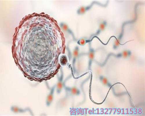 对试管婴儿技术的误解与海外辅助生殖优势解析