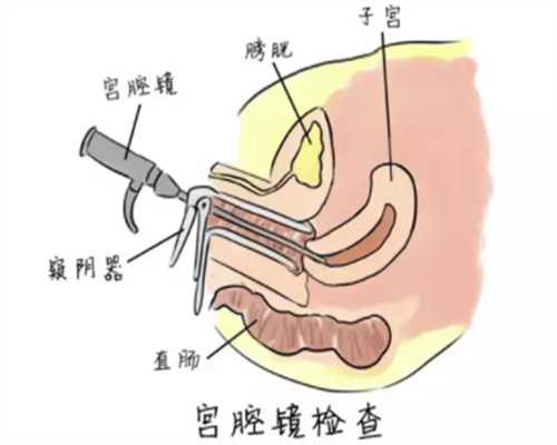 助孕生殖机构：用爱心为家庭创造生命的色彩
