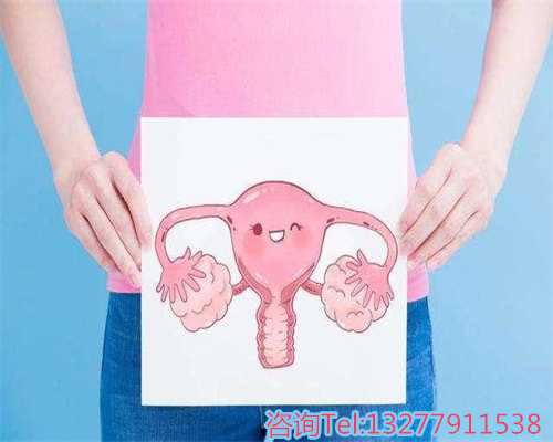 助力生育梦想：广州的助孕与代怀咨询