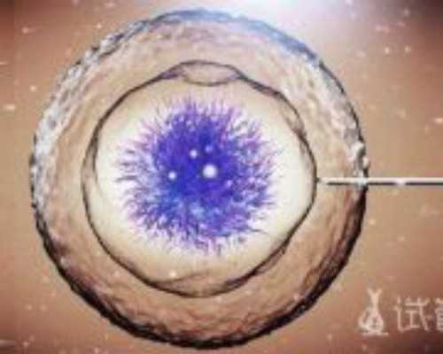 〔北京宝宝医院比较好的〕,武汉试管哪个医院成功率比较高？武汉试管成功率