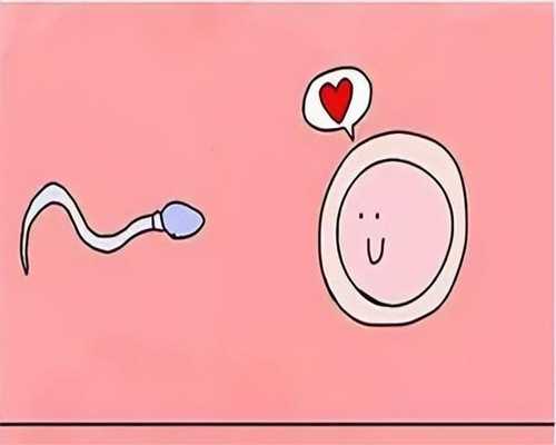 广州试管未婚,珠海比较大的助孕机构Top10排行(珠海助孕机构有哪些)