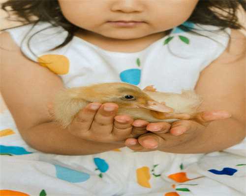 广州寻求代怀妈妈：助力不孕家庭实现生育梦想