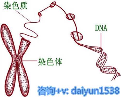 辅助生殖助您圆梦，探索合法合规的生育之路