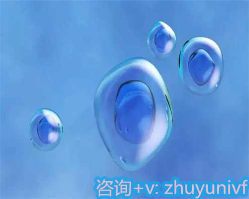 哪家公司助孕服务更优？专业