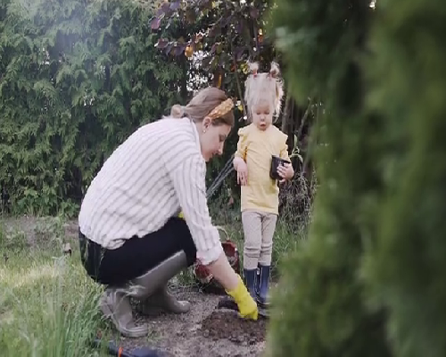 昆明试管婴儿医院排名与成功率全解析