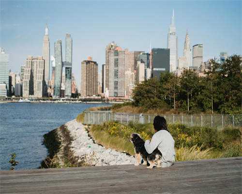 〔宝宝总是扯开我内裤〕,孕期各个阶段,需要注意哪些事项？