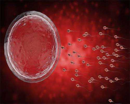 揭秘广州试管助孕：家庭幸福的秘密与高成功率的奥秘