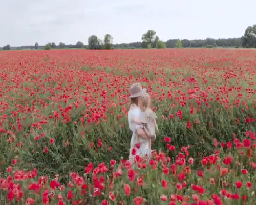 广州助孕技术解析：第三代试管婴儿费用与收费方式