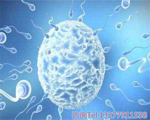 解析宝宝饥饿信号与应对策略：助孕家庭的喂养指南