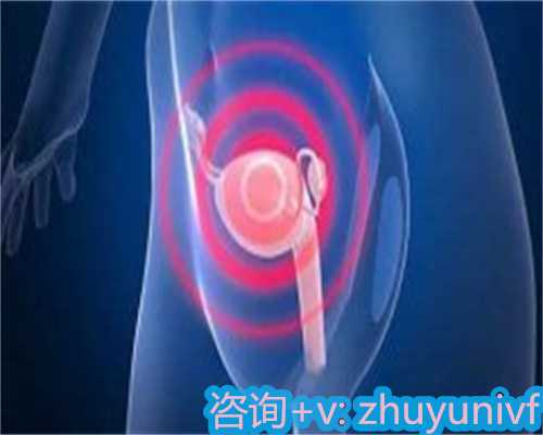 <strong>47岁求子之路：深入解析试管</strong>